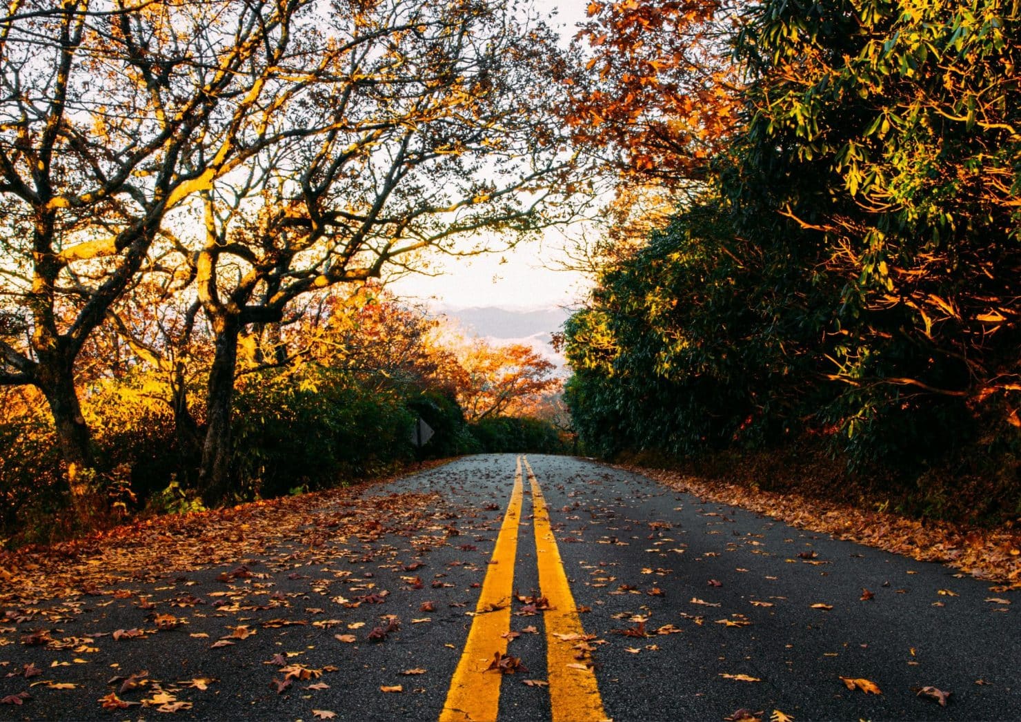SEO-titel: De herfstblues verslaan: waarom sporten én voeding helpen tegen vermoeidheid Meta-omschrijving: Voel je je vaker moe of minder gemotiveerd in de herfst? Ontdek hoe sporten en voeding helpen om je energie en stemming in balans te houden. Focus keyphrase: sporten en voeding tegen herfstblues Slug: sporten-en-voeding-tegen-herfstblues Hashtags: #herfstblues, #sporten, #voeding, #vitaliteit, #mentalegezondheid, #energie, #trifora, #enschede