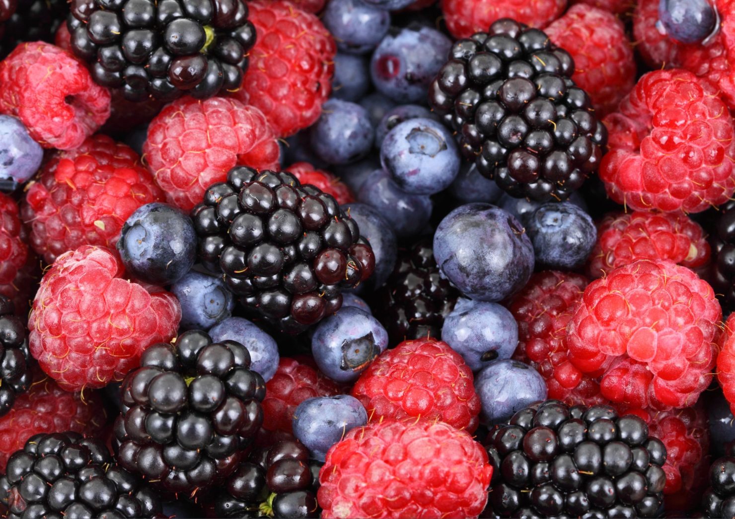 SEO-titel: Wat zijn antioxidanten eigenlijk? Meta-omschrijving: Antioxidanten klinken gezond, maar wat zijn het eigenlijk? Lees wat vrije radicalen zijn, hoe antioxidanten werken en waarom ze belangrijk zijn voor sporters. Focus keyphrase: wat zijn antioxidanten Slug: wat-zijn-antioxidanten Hashtags: #antioxidanten, #blauwebessen, #herstel, #vrijeRadicalen, #gezondevoeding, #fitfood, #trifora, #voedingsadvies