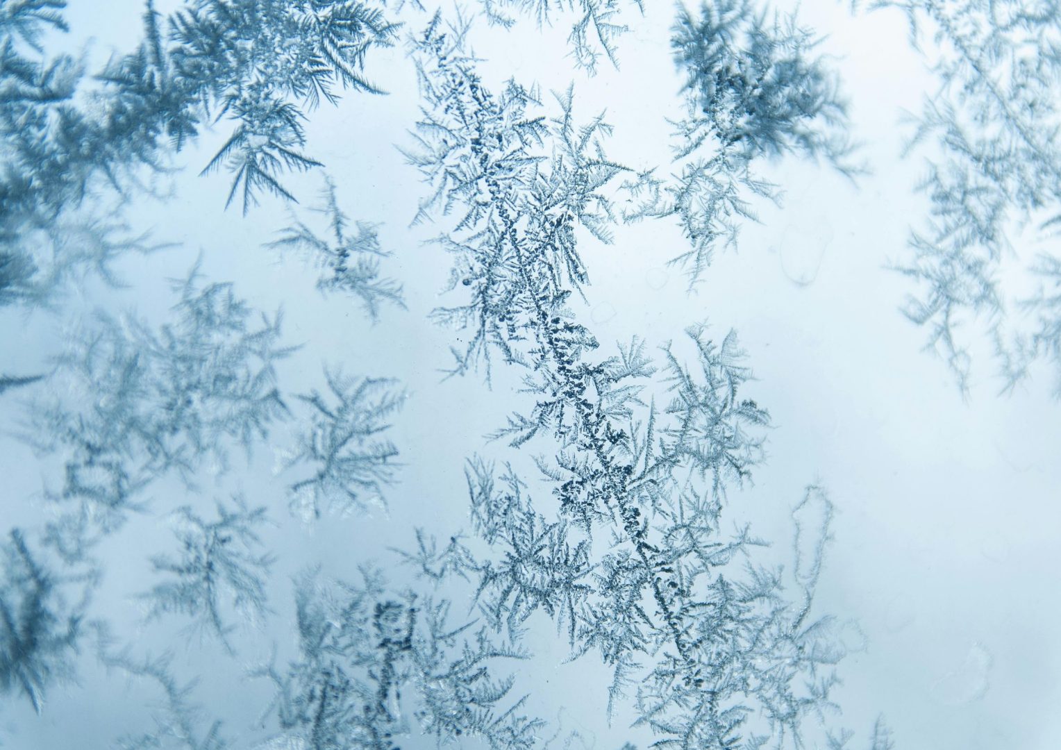 Buiten padellen in de winter: kan dat en wanneer is het verstandig? Meta-omschrijving Kan je padellen in de winter? Ontdek wanneer all weather padelbanen bespeelbaar zijn, wat winterse omstandigheden doen met het spel en waarom buitensporten in de winter zo gezond is. Focus keyphrase padellen in de winter Slug padellen-in-de-winter Hashtags #padel, #padellenindewinter, #buitensporten, #allweatherpadel, #wintertraining, #vitaliteit, #trifora