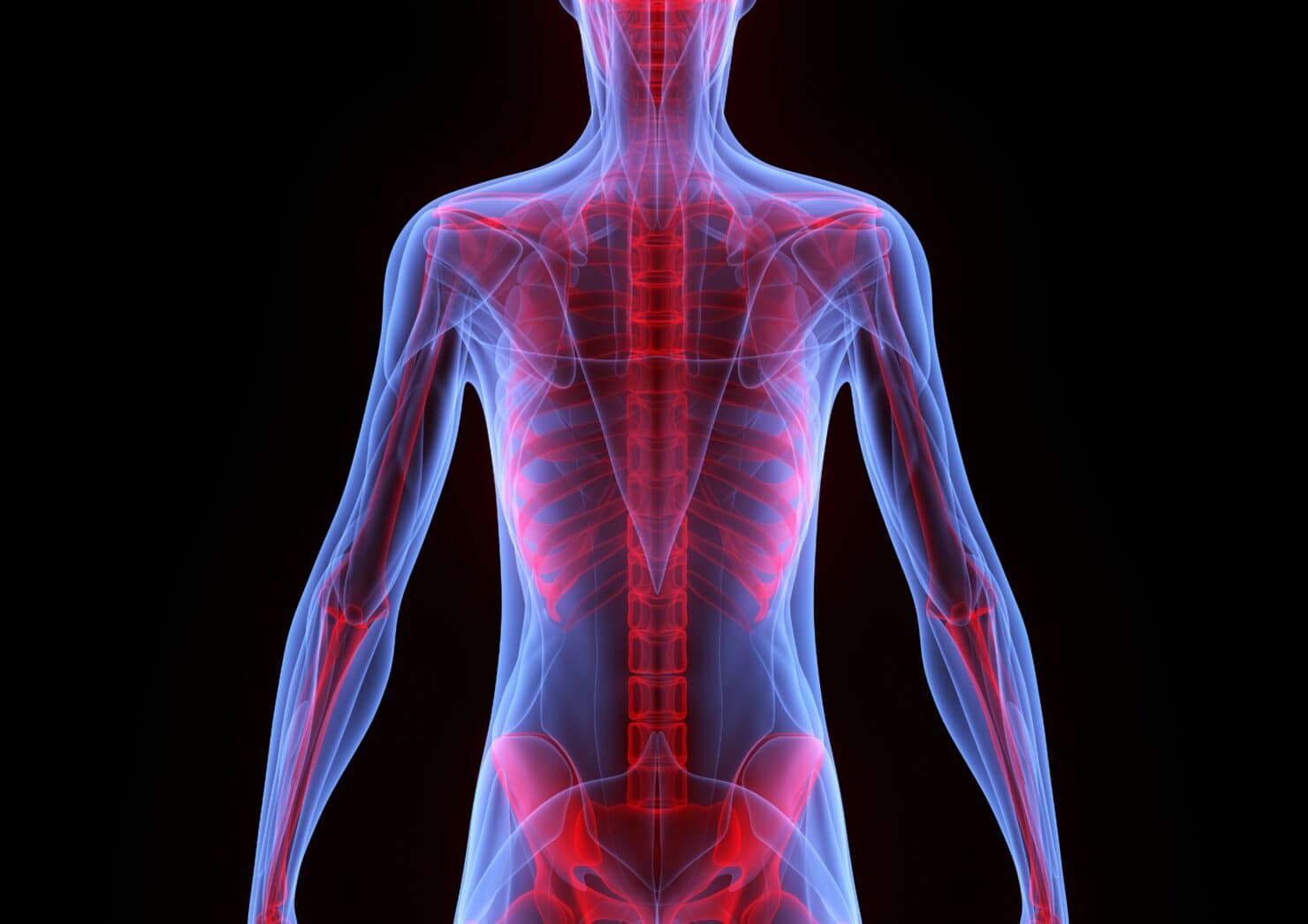 SEO-titel: Wat is metabolisme? Uitleg over stofwisseling, rustmetabolisme en hoe je het verbetert Meta-omschrijving: Wat is metabolisme precies en hoe beïnvloed je jouw stofwisseling? Ontdek hoe rustmetabolisme, spiermassa, voeding en training samenhangen bij afvallen en spieropbouw. Focus keyphrase: wat is metabolisme Slug: wat-is-metabolisme Hashtags: #metabolisme, #stofwisseling, #rustmetabolisme, #afvallen, #spieropbouw, #krachttraining, #leefstijl, #trifora