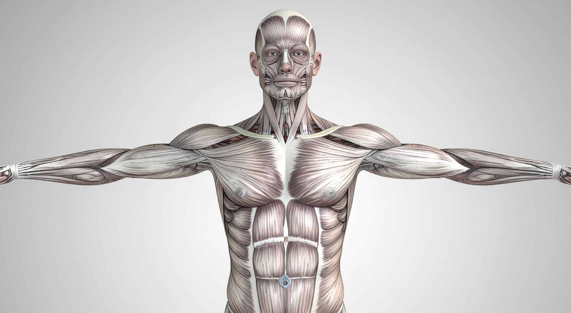 SEO-titel: Wat is metabolisme? Uitleg over stofwisseling, rustmetabolisme en hoe je het verbetert Meta-omschrijving: Wat is metabolisme precies en hoe beïnvloed je jouw stofwisseling? Ontdek hoe rustmetabolisme, spiermassa, voeding en training samenhangen bij afvallen en spieropbouw. Focus keyphrase: wat is metabolisme Slug: wat-is-metabolisme Hashtags: #metabolisme, #stofwisseling, #rustmetabolisme, #afvallen, #spieropbouw, #krachttraining, #leefstijl, #trifora