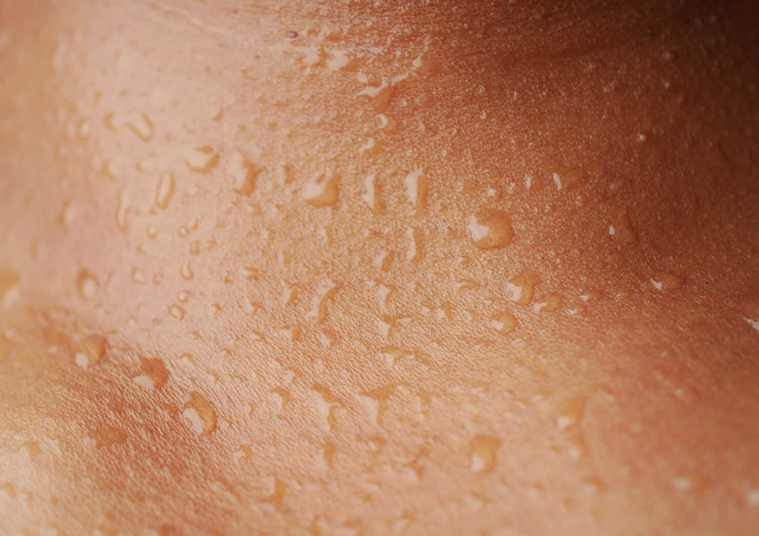 SEO-titel: Waarom moet je zweten van scherp eten? Dit gebeurt er in je lichaam Meta-omschrijving: Waarom ga je zweten van pittig eten zoals sambal of chilipepers? Ontdek hoe capsaïcine werkt, waarom je lichaam reageert en waarom scherp eten zelfs gezond kan zijn. Focus keyphrase: zweten van scherp eten Slug: zweten-van-scherp-eten Hashtags: #zwetenvaneten, #scherpeten, #capsaicine, #voedingengezondheid, #metabolisme, #trifora, #gezondevoeding