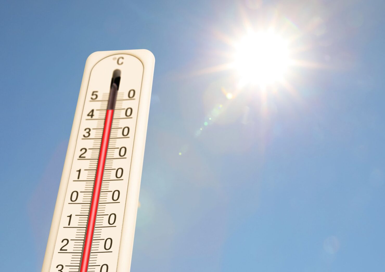 SEO-titel Sporten met warm weer: gezond trainen tijdens een hittegolf Slug sporten-met-warm-weer Meta-omschrijving Is sporten met warm weer gezond? Ontdek hoe je lichaam reageert op hitte, wanneer je moet opletten, het verschil tussen binnen en buiten sporten en praktische tips voor veilig trainen tijdens een hittegolf. Focus keyphrase sporten met warm weer SEO-gerelateerde zoekwoorden sporten tijdens hittegolf, sporten bij 30 graden, sporten in de hitte, binnen sporten zomer, krachttraining warm weer, fitness bij warm weer, sporten bij hoge temperaturen, veilig sporten in de zomer Hashtags #sportenmetwarmweer, #sportenindehitte, #hittegolf, #fitness, #krachttraining, #groepslessen, #yoga, #hydratatie, #gezondbewegen, #trifora, #vitaliteit, #sportenindezomer