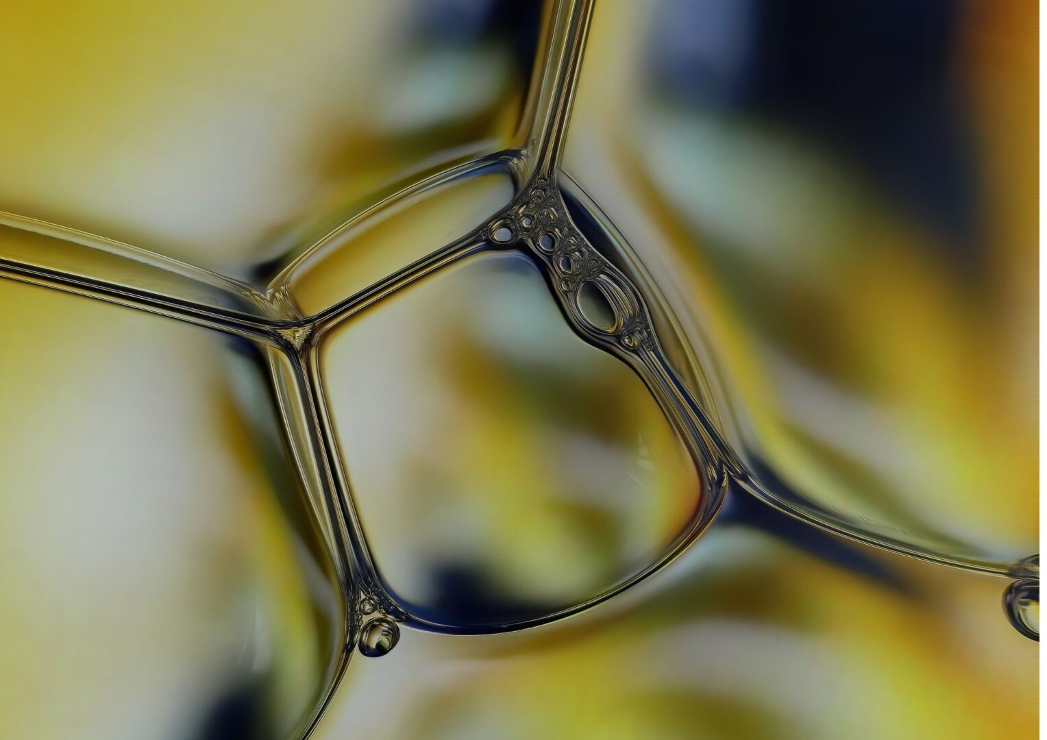 SEO-titel: Wat is cortisol en hoe kun je cortisol verlagen? Meta-omschrijving: Wat is cortisol en zorgt het voor buikvet? Lees hoe slaap, stress, training, voeding, cafeïne en supplementen jouw cortisol beïnvloeden. Focus keyphrase: wat is cortisol Slug (URL): wat-is-cortisol-en-hoe-kun-je-cortisol-verlagen Hashtags: #cortisol, #stress, #stresshormoon, #buikvet, #afvallen, #slaap, #herstel, #voeding, #krachttraining, #cafeïne, #supplementen, #gezondeleefstijl, #vitaliteit, #sporteninenschede, #trifora