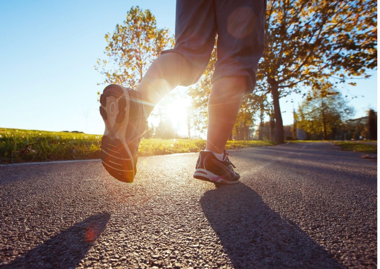 SEO-titel: Hardlopen combineren met krachttraining: rustig opbouwen naar 5 km Meta-omschrijving: Hoe combineer je hardlopen met drie keer per week krachttraining? Lees hoe ik rustig begin, mijn herstel bewaak en wil opbouwen naar 5 kilometer. Focus keyphrase: hardlopen combineren met krachttraining Slug (URL): hardlopen-combineren-met-krachttraining Hashtags: #hardlopen, #krachttraining, #cardio, #conditie, #vijfkilometer, #hardloopschema, #fullbodytraining, #spieropbouw, #herstel, #sportvoeding, #mentalegezondheid, #fitnessenschede, #trifora